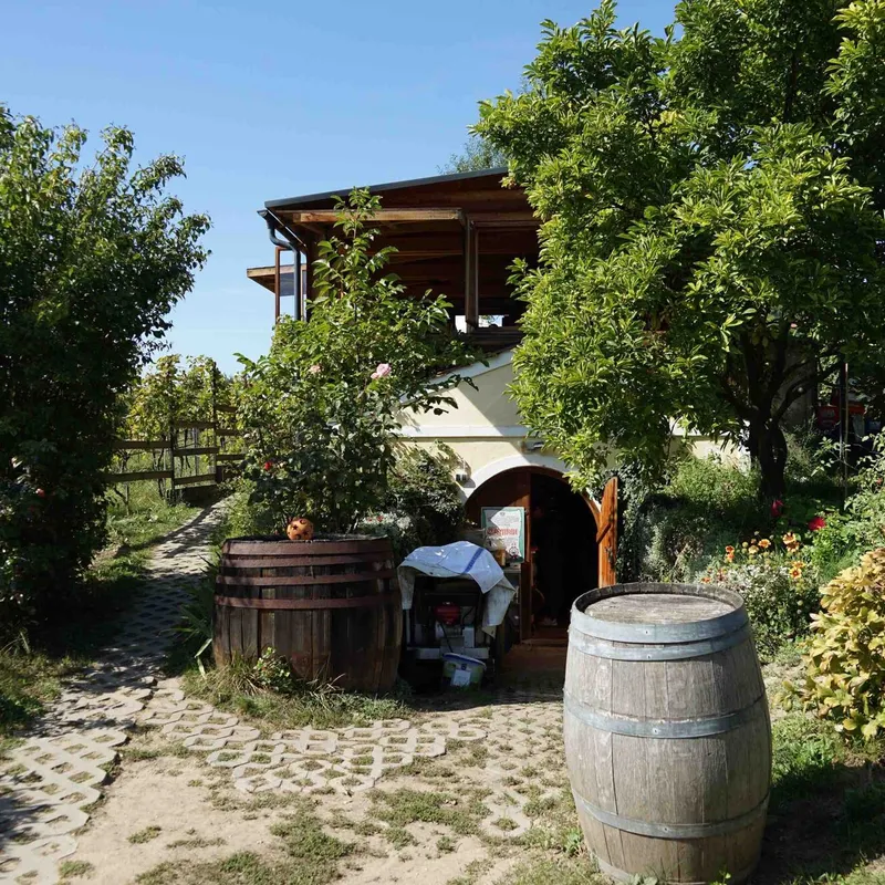 Eingang zur Buschenschank mit Weinfass, Bäumen und Laube
