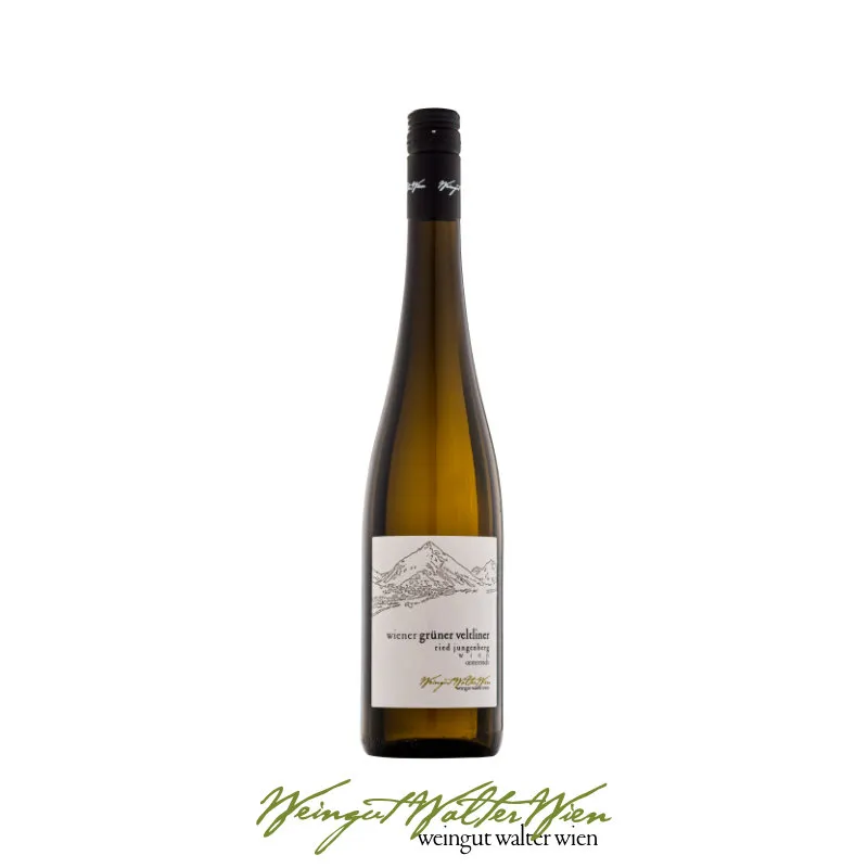 Flasche Wiener Grüner Veltliner, bio