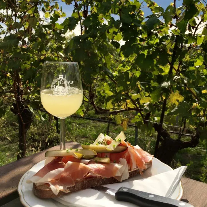 Ein Glas Weißwein und ein Schinkenbrot auf einem Tisch vor den Weinstöcken