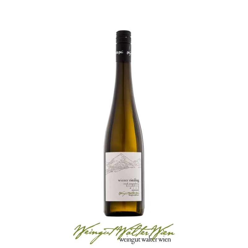 Flasche Wiener Riesling Bisamberg, bio
