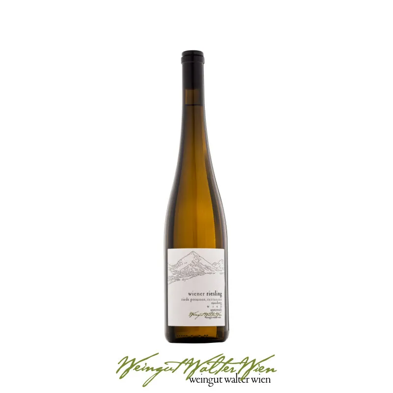Flasche Wiener Riesling Nussberg, bio